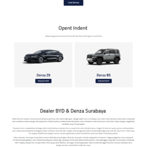 Denza BYD Surabaya
